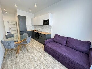 Modern Studio Apartment Interior with Open Kitchen and Dining Area