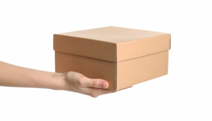 Hand holding cardboard box with white.