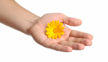 Hand holding yellow flower.