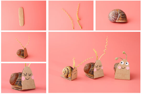 Cardboard-faced snail shells for kids education, environmental branding, school crafts, science curriculum visuals, parenting content, book illustration, creativity-focused learning brands,
