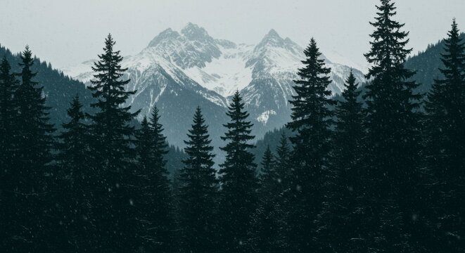 Snowy mountain peaks amidst a dark forest - Powered by Adobe