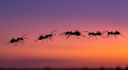 Silhouettes of Ants in Flight at Sunset, a Powerful Image of Teamwork