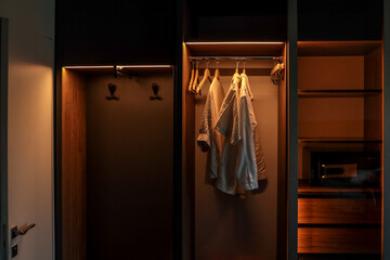 Modern wooden wardrobe with LED lights, hangers, shirts, empty shelves and a safe. Minimalist...