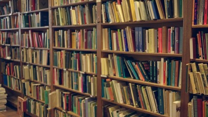 Blurred view of a library bookshelf filled with diverse books, offering a cozy, educational atmosphere with a focus on literature and knowledge.