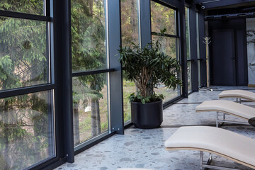 Modern spa relaxation zone with beige recliners, large glass windows, indoor potted plant and view...