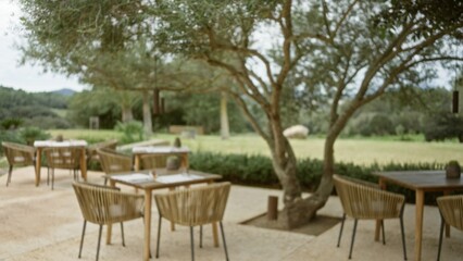 Blurred chairs and tables on a mediterranean restaurant terrace with a bokeh effect, showcasing a defocused outdoor setting with trees and greenery in the background.