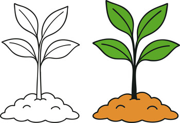 Flat Vector Sprout Illustration for Coloring Books (Outlined and Colored Versions)
