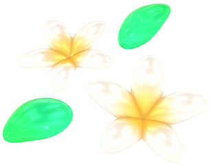Plumeria flowers 3D summer illustration with colorful