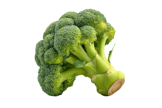 PNG Fresh green broccoli close-up on black background - Powered by Adobe