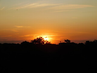 Sunset over the Forest