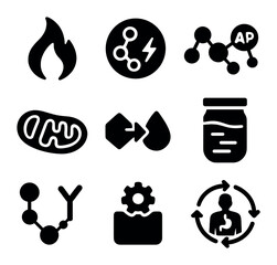 Metabolism Icon Grid. Solid, filled icons set of metabolism and digestion connection: metabolic flame,