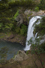 A powerful waterfall cascades into a serene pool, surrounded by lush, vibrant green native bush, creating a captivating natural spectacle.
