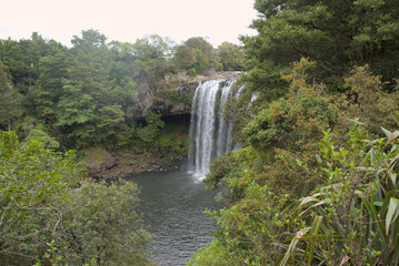 A powerful waterfall cascades into a serene pool, surrounded by lush, vibrant green native bush, creating a captivating natural spectacle.