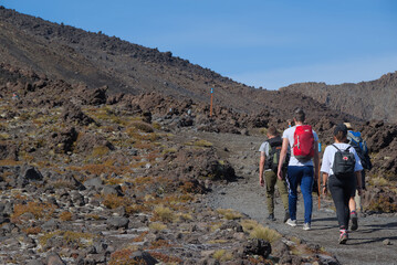 Hikers trek across the dramatic volcanic landscape of the Tongariro Crossing, with steam vents and...
