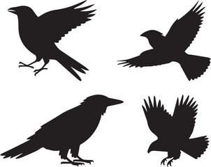 Set of Silhouettes of Different Birds in Flight Ideal for Wildlife, Nature, and Birdwatching Illustrations, Featuring a Variety of Winged Species 