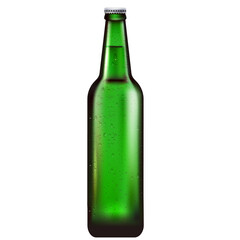 bottle of beer