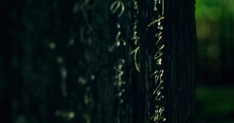 Close-up of golden hieroglyphs on a tree trunk. Japanese culture