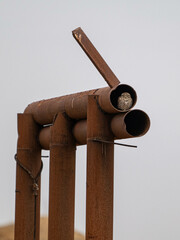 Little Owl Sitting in a Pipe in the Wild