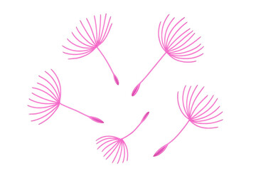 Pink dandelion seeds are flying in different directions on a transparent background, creating a delicate and whimsical image