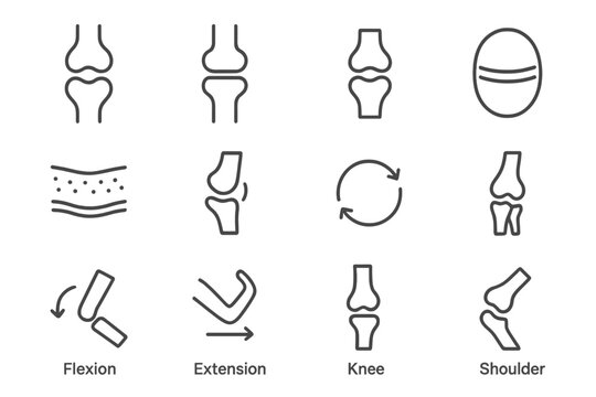 Joint movement diagrams showing flexion and extension in knee and shoulder