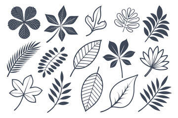 Leaf silhouettes, vector collection, diverse leaves shapes, nature elements. Ideal for eco friendly brand aesthetics, botanical illustrations, educational materials, artistic designs, decorations.