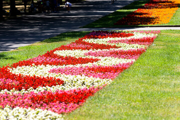 A colorful flower bed in the park
