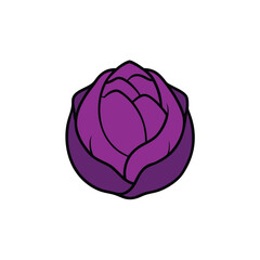Purple cabbage with detailed veins colorful flat vegetable Vector illustration