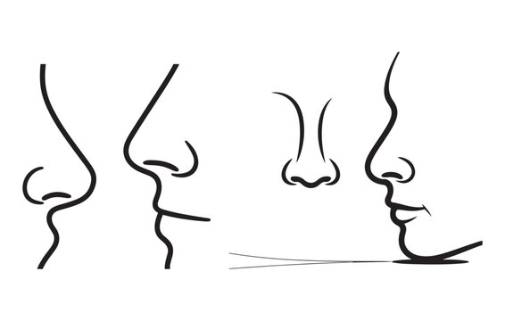 Black Line Art Drawings of Different Nose Shapes and Profiles noses