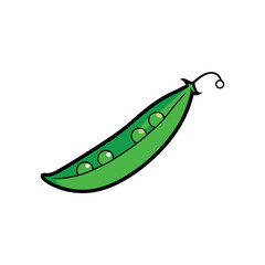 Green peas pod open with popping peas flat dynamic veggie art Vector illustration