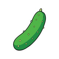 Cucumber fresh with water droplets juicy green vegetable look Vector illustration