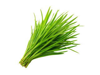 Fresh green garlic chives bunch isolated black background, Isolated On Transparent Background, Png