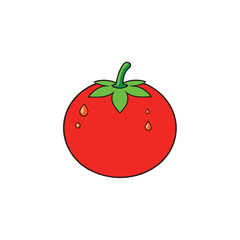 Realistic tomato with fresh water drops juicy veggie style Vector illustration