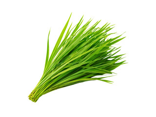 Fresh green spring onion bunch isolated black background, Isolated On Transparent Background, Png
