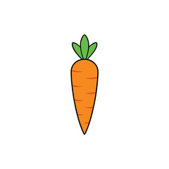 Bright orange carrot with green top detailed design Vector illustration