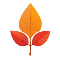 Fall Autumn Leaf Isolated on a Transparent Background