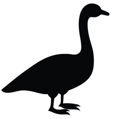Simple Vector of Goss Bird Perched on Thin Branch with Subtle Details Line Art