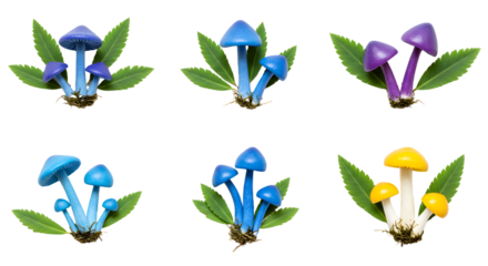 Colorful mushrooms with vibrant caps and green leaves, displayed in a visually appealing arrangement, suitable for nature themes