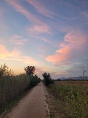 Scenic countryside landscape during sunset. The image captures the warm tones of the setting sun over natural fields, creating a peaceful and serene rural atmosphere, perfect for themes of nature