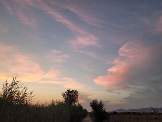 Scenic countryside landscape during sunset. The image captures the warm tones of the setting sun over natural fields, creating a peaceful and serene rural atmosphere, perfect for themes of nature