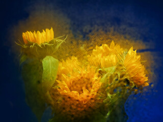 A bouquet of sunflowers with green leaves, behind glass. The flowers are yellow and have a bright, cheerful appearance. The arrangement is full and lively, giving off a sense of warmth and happiness