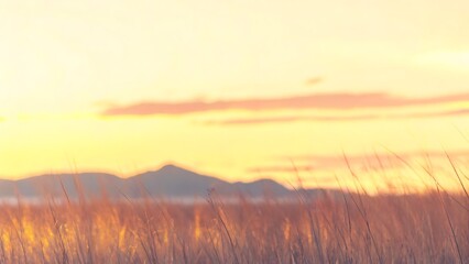 Obraz premium Soft focus landscape of tall grass in foreground with distant mountains at sunrise