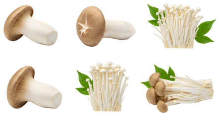 A collection of fresh mushrooms displayed on a white background, showcasing their unique shapes and textures, ideal for culinary use