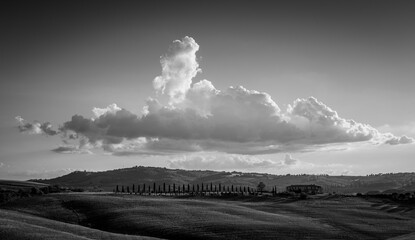 Proteggi le Nostre Terre