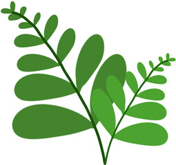 나뭇잎 식물 이파리 잎사귀