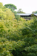 東福寺界隈の風景