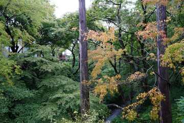 東福寺界隈の風景