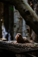 Una Giornata allo Zoo_6