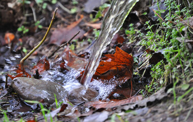 Water falling on fallen autumn leaves