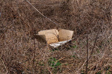 A discarded box lays in early spring brown grasses.