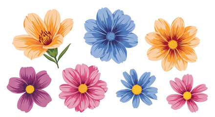 Vibrant Floral Collection  Beautiful Cosmos and Daisy Illustrations, Perfect for Design Projects